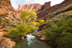Grand Canyon & Utah 2014 by Paul Hoelen Photography_20A1907