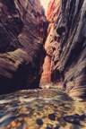 Grand Canyon & Utah 2014 by Paul Hoelen Photography_20A0425